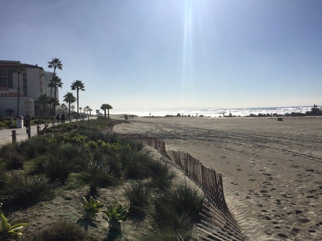beach 