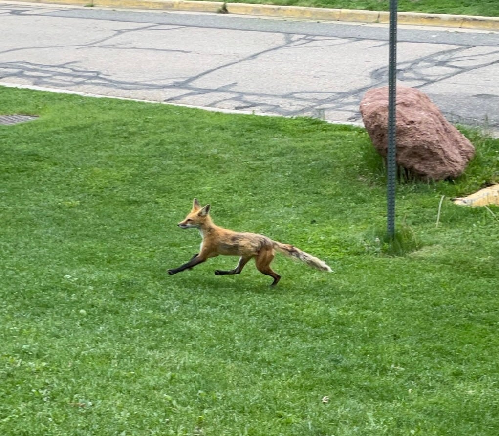 RNA Society Meeting 2022 – Boulder