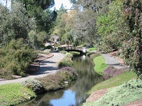 arb 